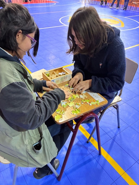 Día de las Matemáticas 2025